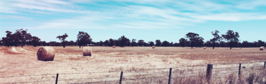 storage bushfire protection