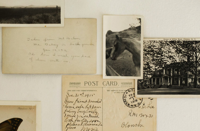 Precious photographs and mementoes in Climate Controlled Document Storage