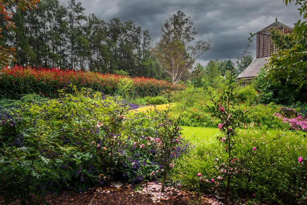 An Image of Picton Botanic Gardens
