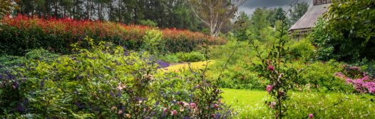 An Image of Picton Botanic Gardens